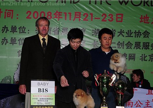 CPS·2023长沙宠物产业博览会暨都市潮宠节